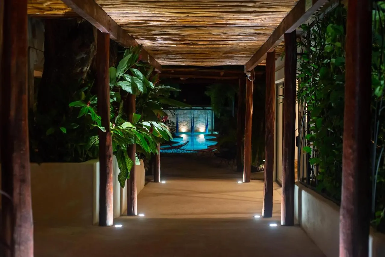 Hotel Blue Palm Bacalar