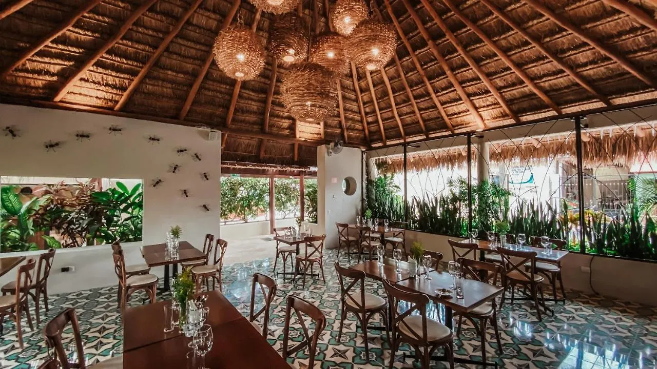 Hotel Blue Palm Bacalar