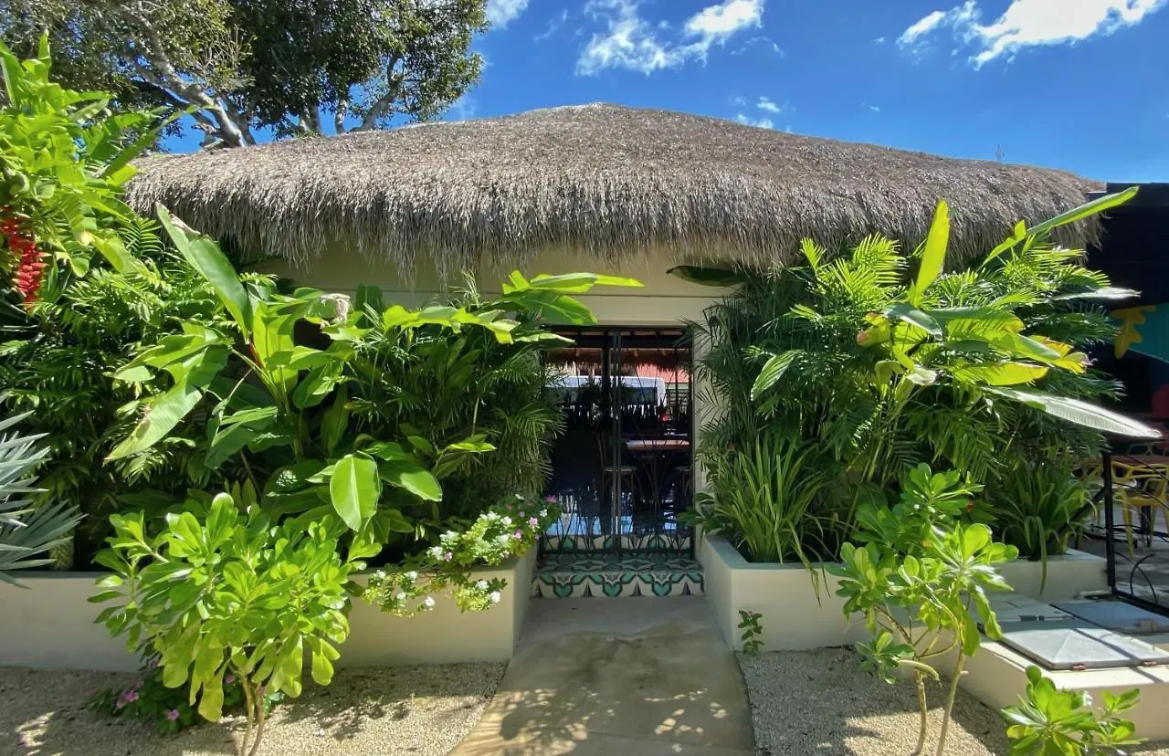Hotel Blue Palm Bacalar
