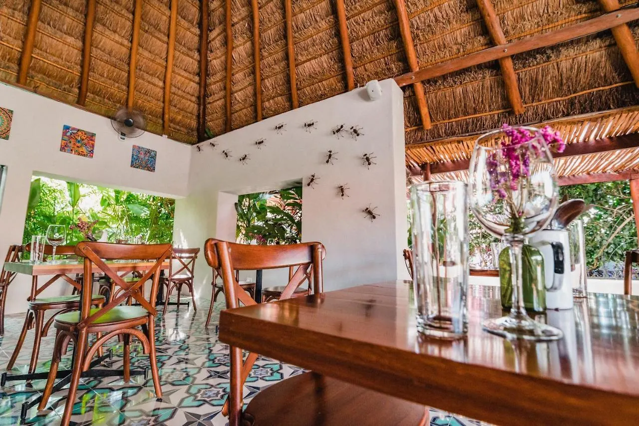 Hotel Blue Palm Bacalar