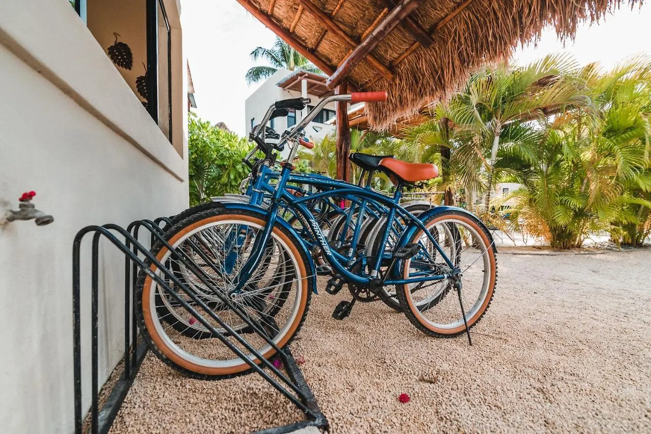 Hotel Blue Palm Bacalar